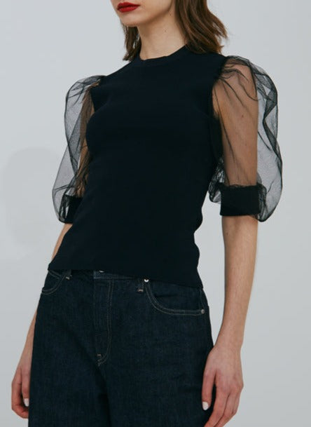 Autumn Cashmere Tulle Puff Sleeve Crew