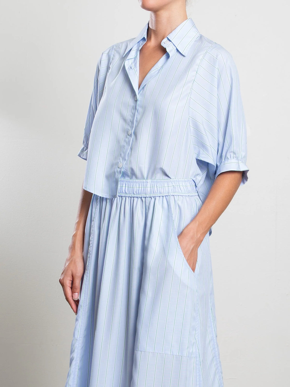 Pharaoh Claude Crop Shirt