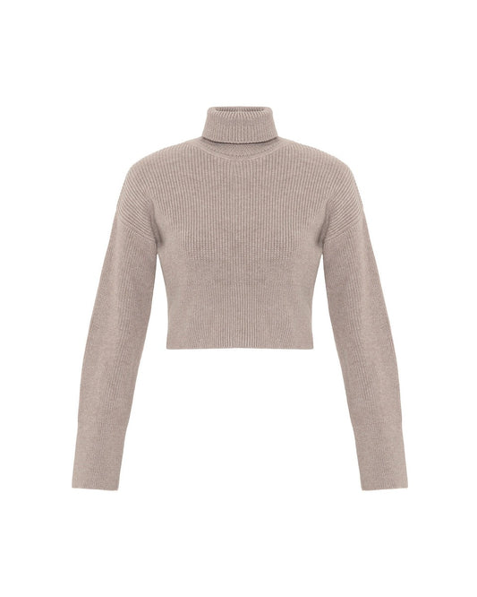 TS Theo Angelia Cropped Turtleneck Sweater