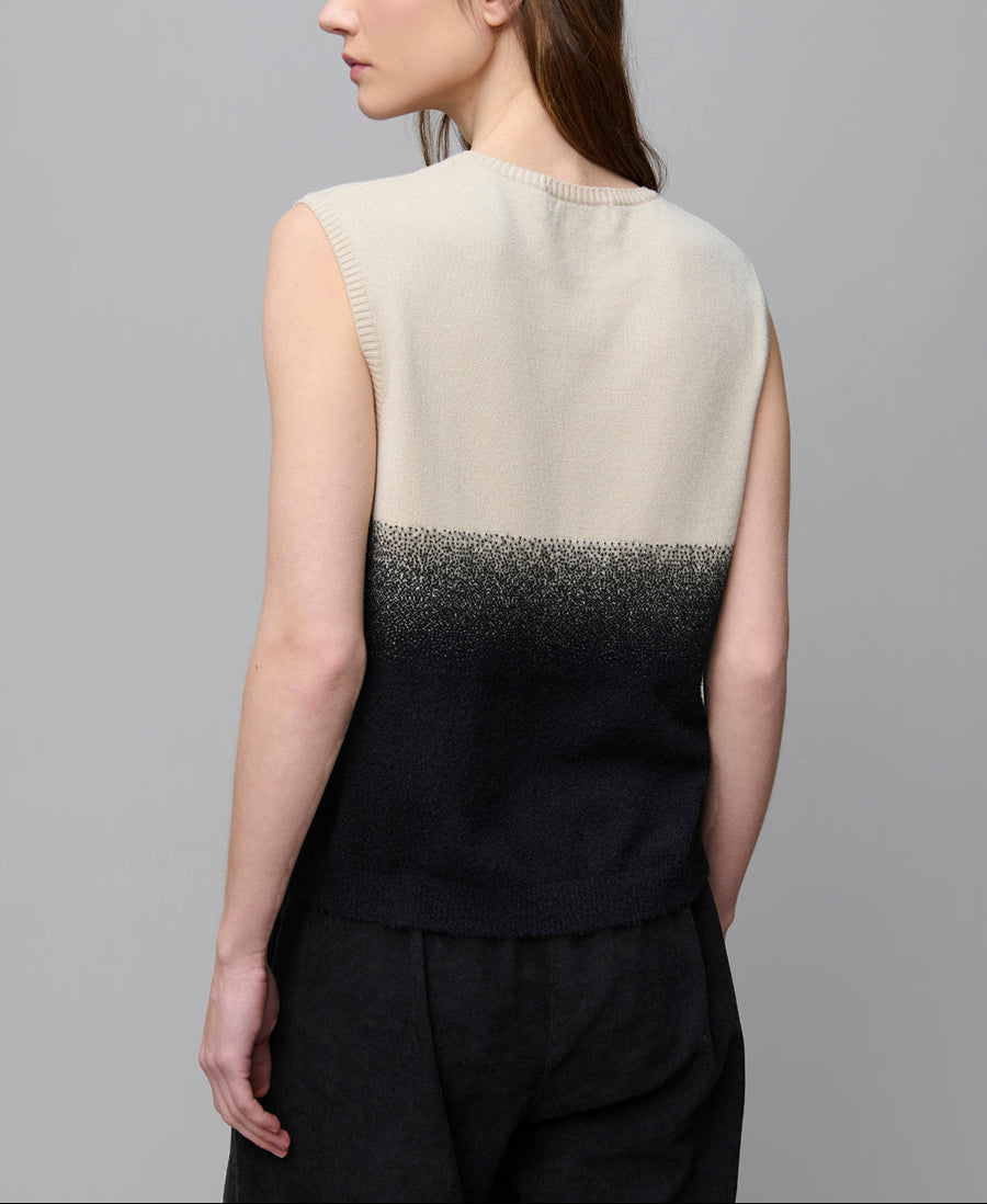 Aldo Martins Ombre Sleeveless Top
