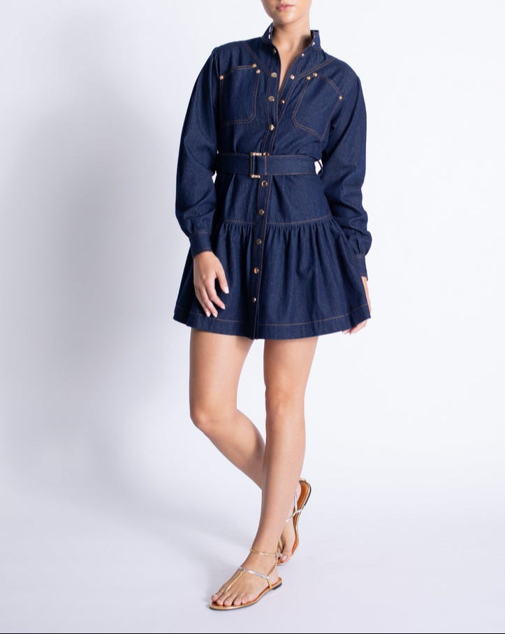 Karina Grimaldi Saraswati Denim Mini Dress