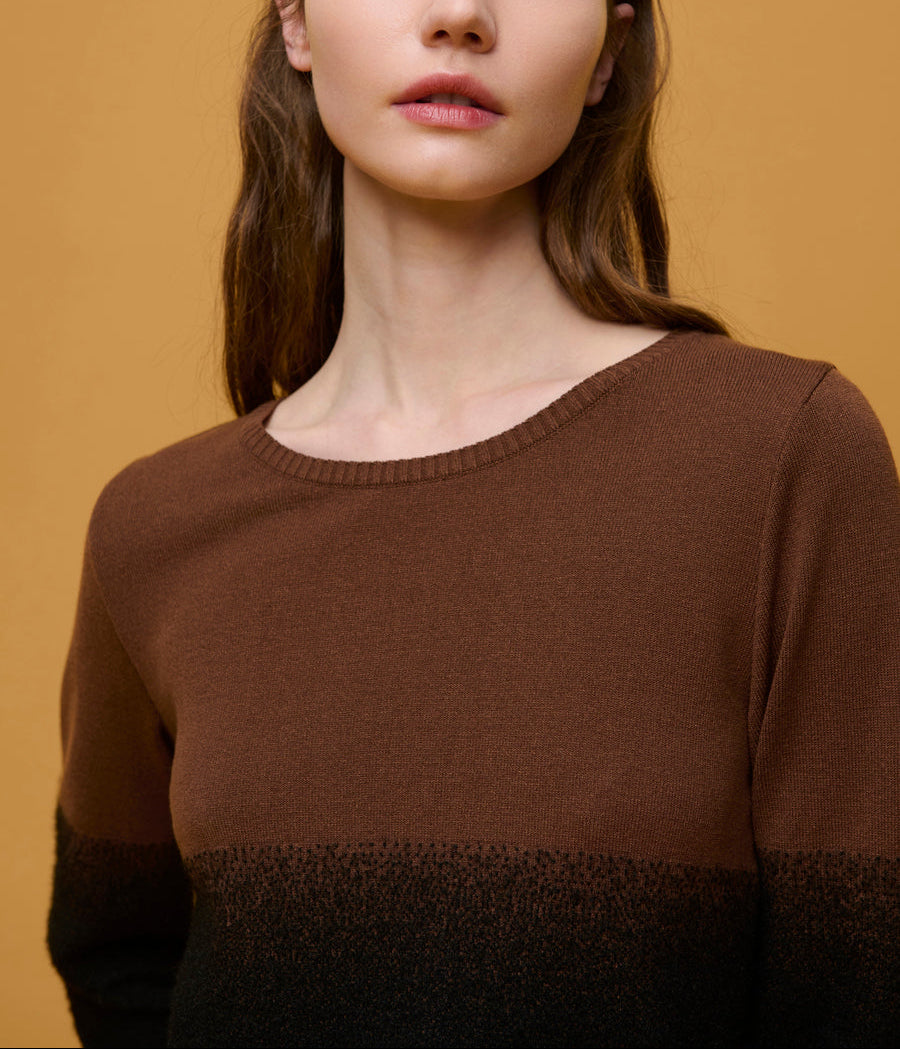 Aldo Martins Ombre Crew Neck Sweater