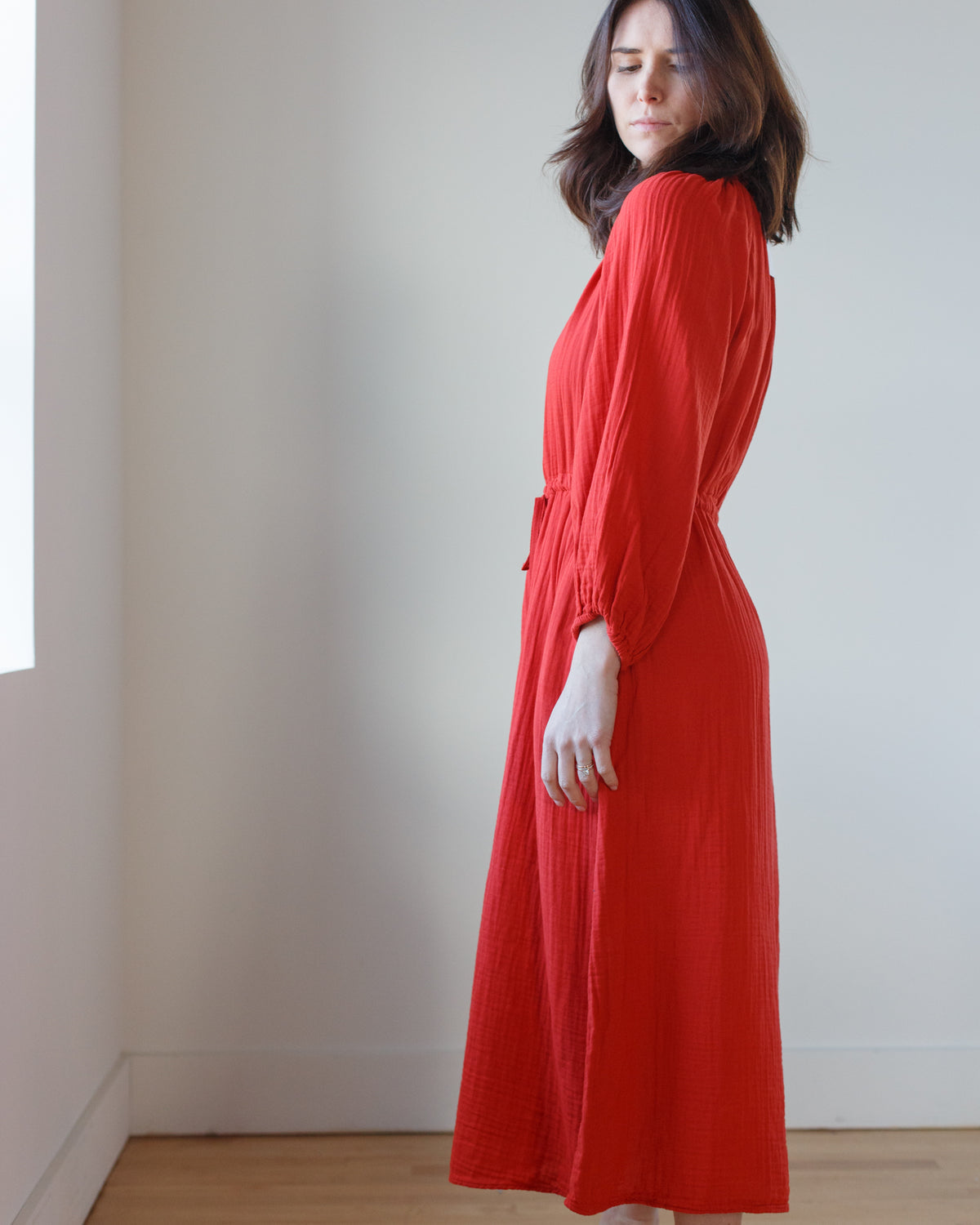 Velvet Audrey Dress